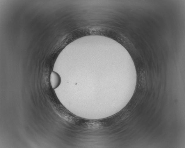 X0000080710698200701121818