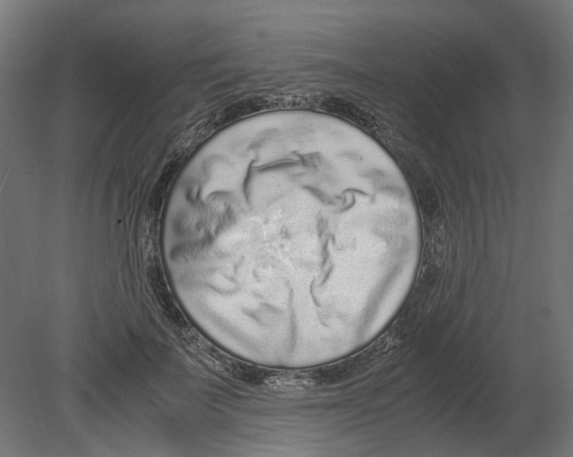 X0000080710699200701121818