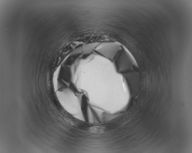 X0000080710700200701121818