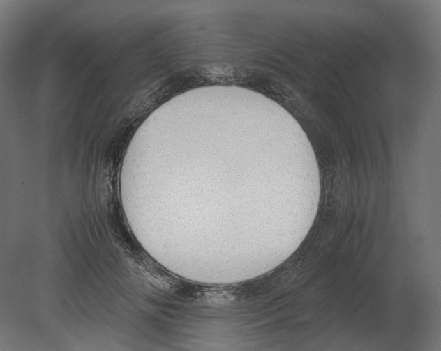 X0000080710702200701121818