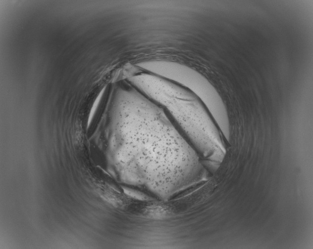 X0000080710704200701121818