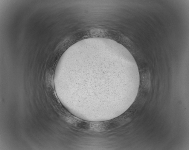 X0000080710705200701121818