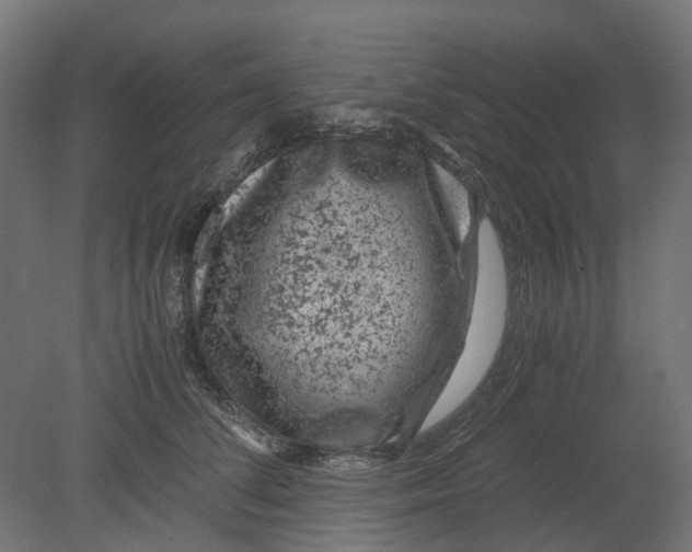 X0000080710708200701121817