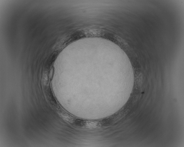 X0000080710709200701121817