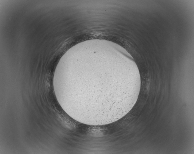 X0000080710710200701121817