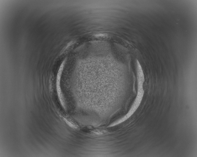 X0000080710712200701121817