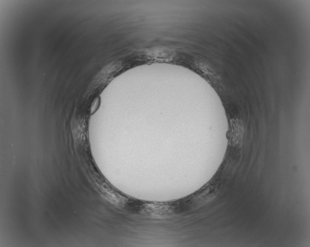 X0000080710713200701121817