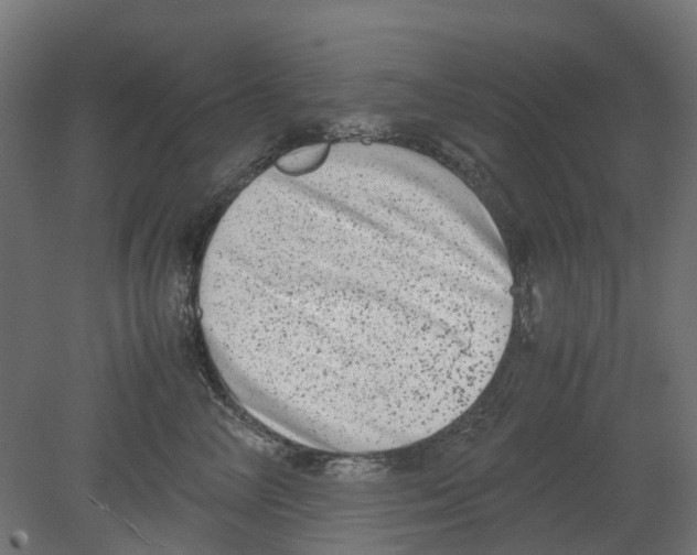 X0000080710714200701121817