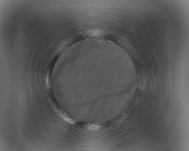 X0000080710718200701121817