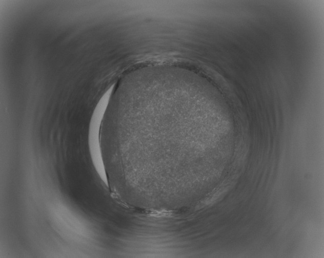 X0000080710720200701121817