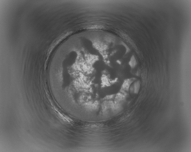 X0000080710721200701121816