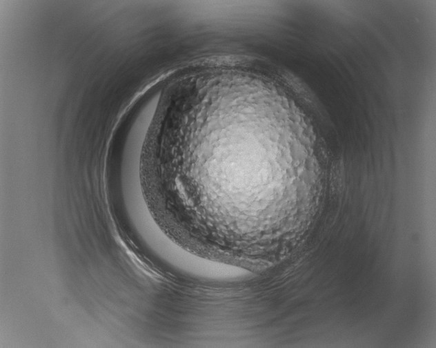 X0000080710722200701121816