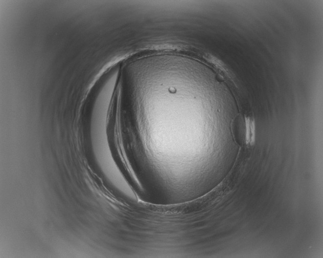 X0000080710723200701121816