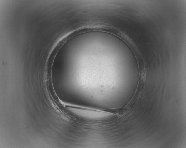 X0000080710724200701121816