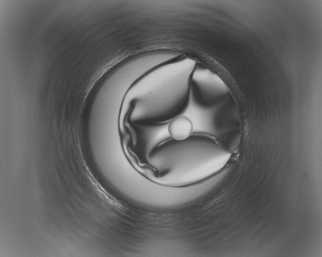 X0000080710725200701121817