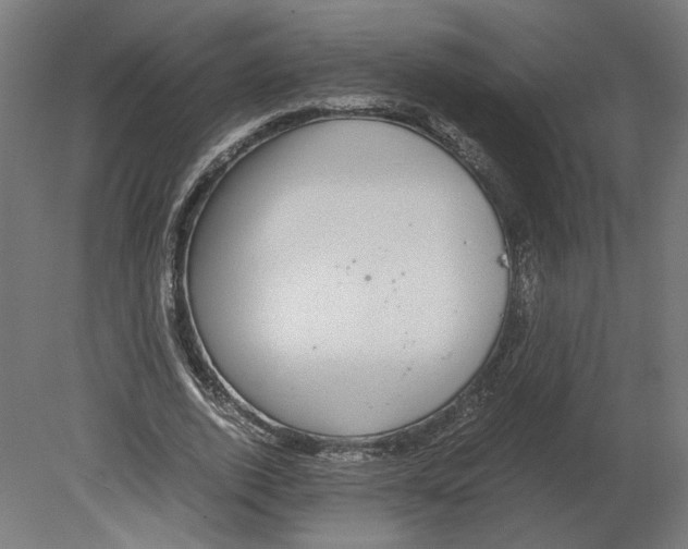 X0000080710728200701121817