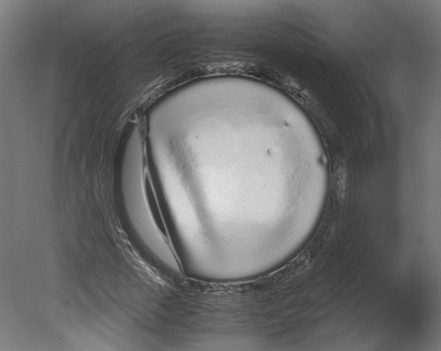 X0000080710729200701121817