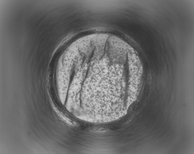 X0000080710730200701121817