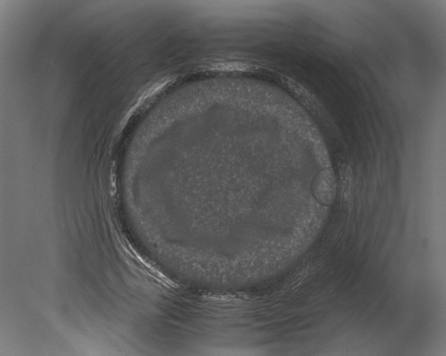 X0000080710731200701121817