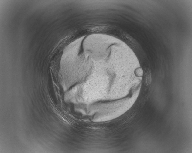 X0000080710733200701121817