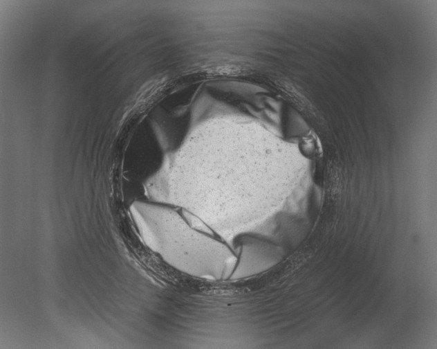 X0000080710738200701121817