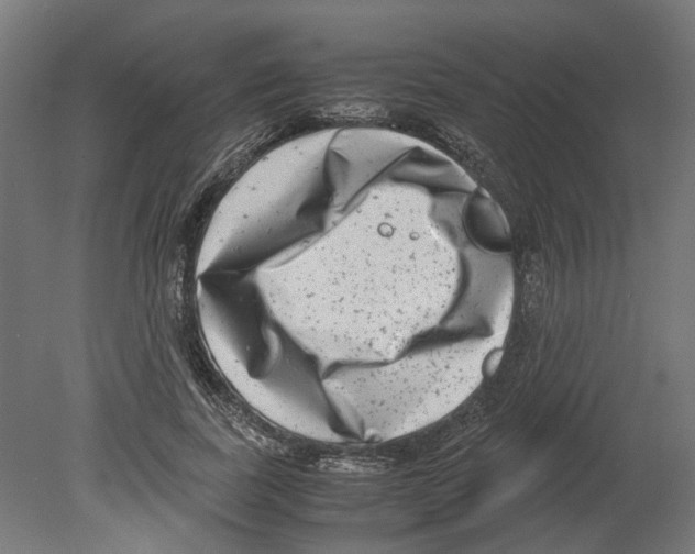 X0000080710739200701121817