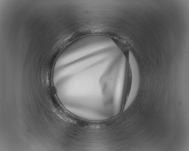 X0000080710740200701121817