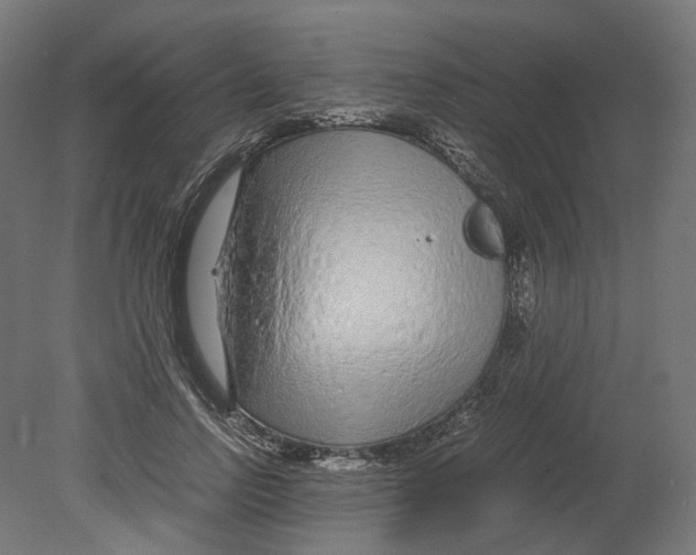 X0000080710742200701121817