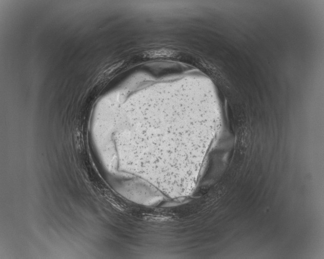 X0000080710743200701121817