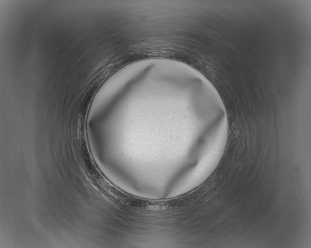 X0000080710744200701121817