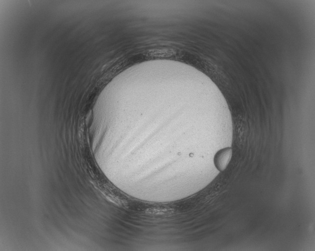 X0000080710745200701121817