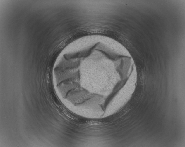 X0000080710746200701121817