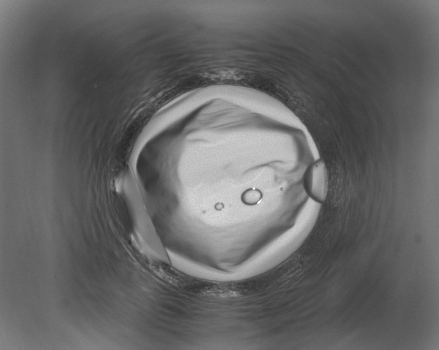 X0000080710747200701121817