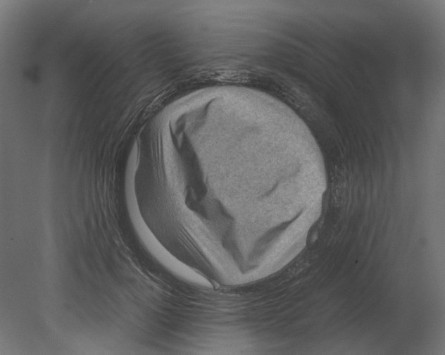 X0000080710748200701121817