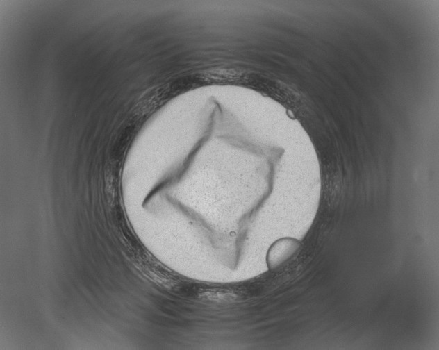 X0000080710749200701121817