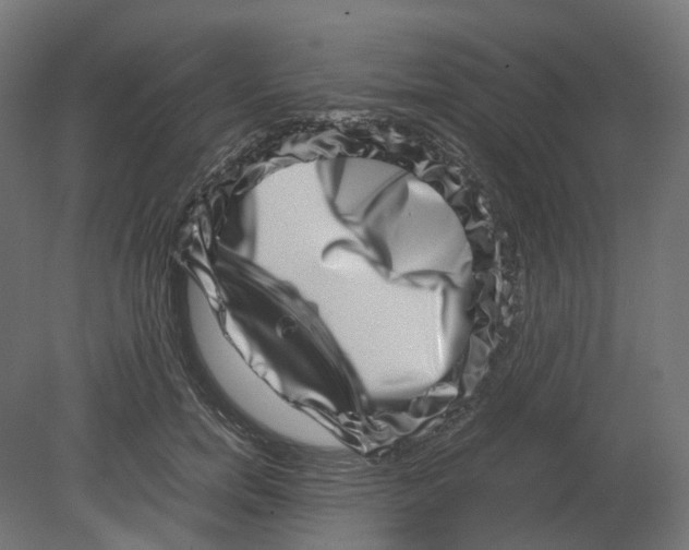 X0000080710750200701121817