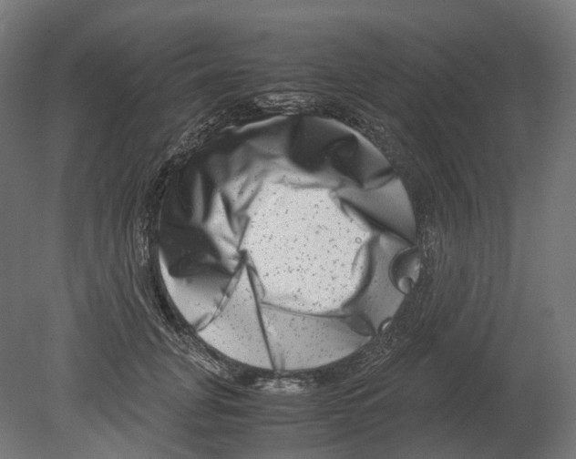 X0000080710751200701121817