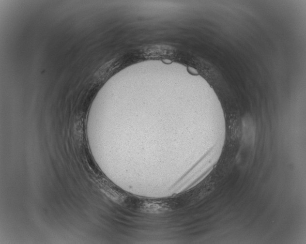 X0000080710753200701121817