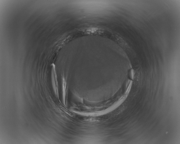 X0000080710754200701121817