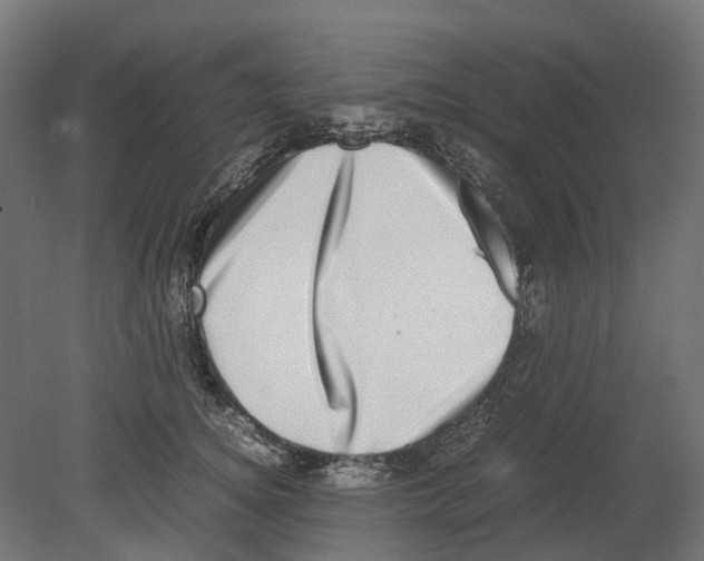 X0000080710756200701121817