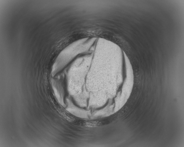 X0000080710757200701121817