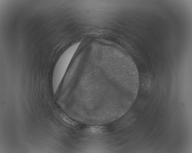 X0000080710758200701121817