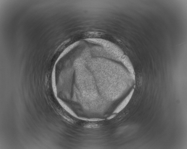 X0000080710759200701121817