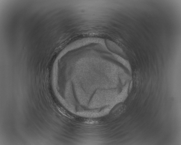 X0000080710760200701121817