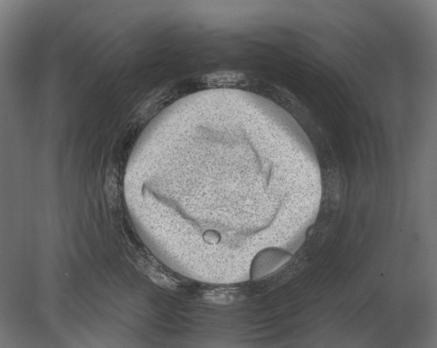 X0000080710761200701121817