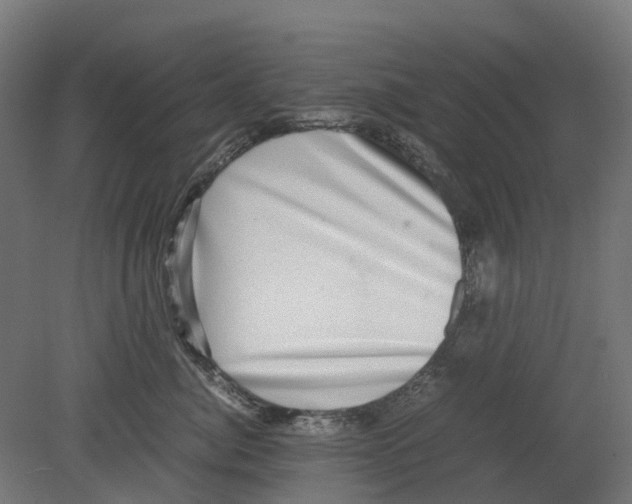 X0000080710764200701121817