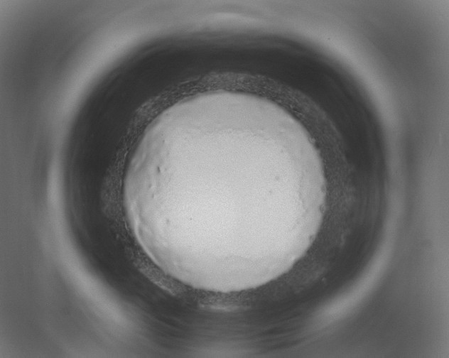 X0000080710765200701121817