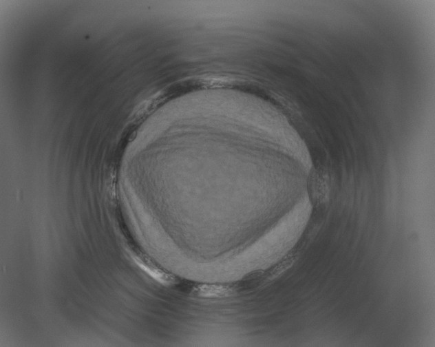 X0000080710766200701121817