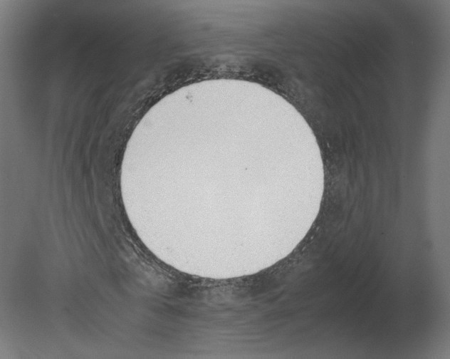 X0000080710769200701121816