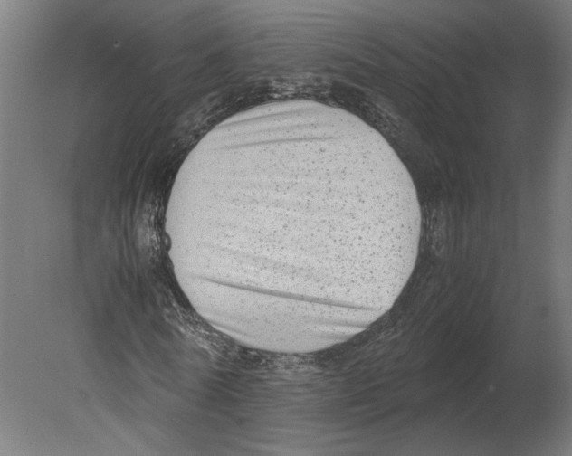 X0000080710770200701121816